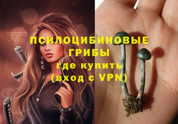 амф Приозерск