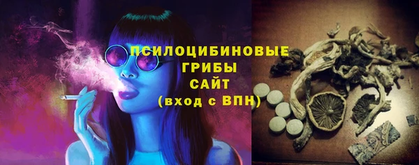 амф Приозерск